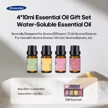 Luxury Flame Aroma Diffuser | Fireplace Effect Humidifier with Ambient Night Light for Homes, Cafes, Spas & Clinics